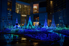 2011年12月6日撮影