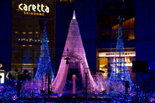 2011年12月6日撮影