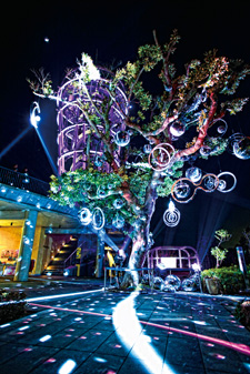 2012�N1����