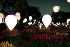 2012�N1����