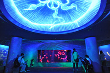 2012�N1����