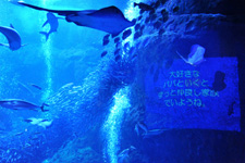 2012�N1����