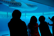 2012�N3���񋟃C���[�W