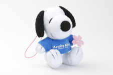 2012�N3����