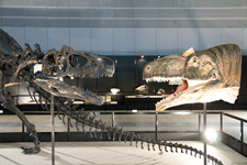 2012年7月19日撮影