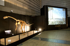 2012年7月19日撮影