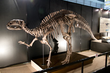 2012年7月19日撮影