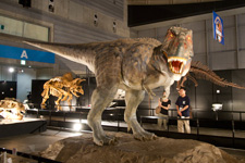 2012年7月19日撮影