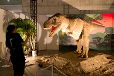 2012年7月19日撮影