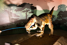 2012年7月19日撮影