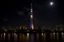 2012�N7��31���B�e