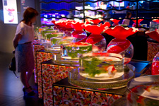 2012年8月17日撮影