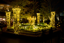 2012�N11��1���B�e