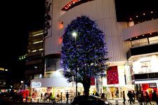 2012�N11��1���B�e