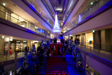 2012年11月1日撮影