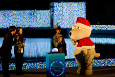 2012年11月3日撮影