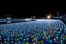 2012年11月3日撮影