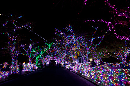 �����f�[�g�i�r,�B�e,,,,