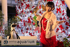 2012�N11����