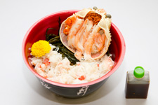 2013年1月11日プレス内覧会で撮影