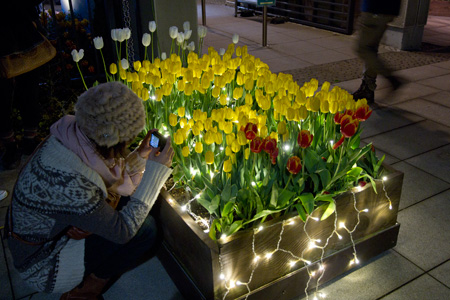 �����f�[�g�i�r,�B�e,�I���W�i��,���f�]�ڋ֎~,