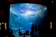 2013�N2����