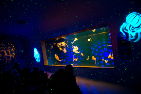 �����f�[�g�i�r,�B�e,�I���W�i��,���f�]�ڋ֎~,