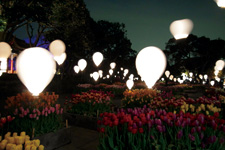 �]�m���d�S��