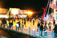 2013�N1����