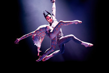 ●●年●月撮影