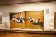 2013�N5��������ŎB�e