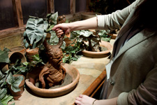 2013�N6��21����ނɂĎB�e