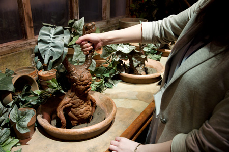 6��21����ނɂ�,�B�e,�I���W�i��,���f�]�ڋ֎~,