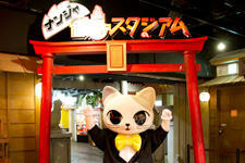 2013年7月9日撮影