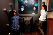 2013年7月9日撮影