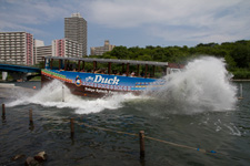 2013�N8���B�e