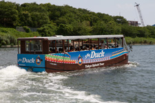 2013�N8���B�e