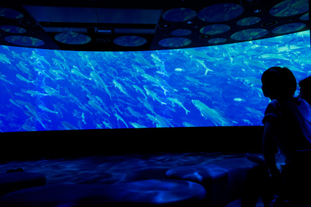 �����f�[�g�i�r,�B�e,�I���W�i��,���f�]�ڋ֎~,