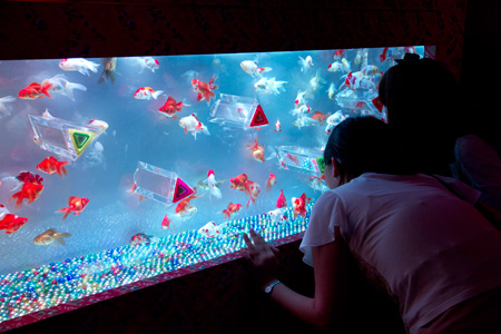 �����f�[�g�i�r,�B�e,�I���W�i��,���f�]�ڋ֎~,