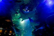 �����N�����B�e