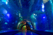 �����N�����B�e