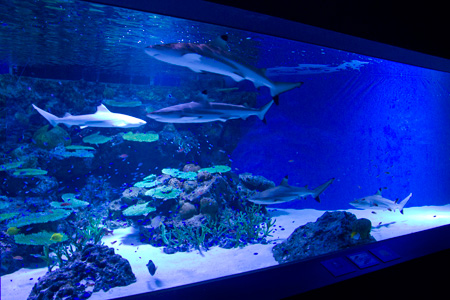 �����f�[�g�i�r,�B�e,�I���W�i��,���f�]�ڋ֎~,