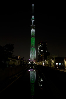 2013年11月1日撮影