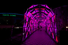 �����N�����B�e