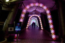 �����N�����B�e