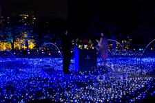 2013�N11���B�e