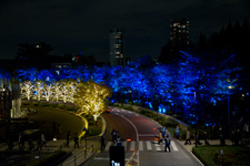 2013�N11���B�e