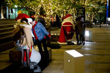 2013�N11���B�e