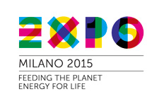 2013�N12����