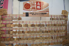 2014�N6���B�e